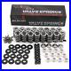 BRIAN_TOOLEY_BTR_LS_660_Dual_Valve_Springs_Kit_Ti_Titanium_Retainers_SK001T_01_quvk