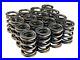 Blox_Racing_Dual_Valve_Spring_Kit_Integra_DC2_Civic_Si_B_Series_B16A_B18C_B18C5_01_rqxg