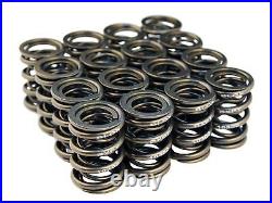 Blox Racing Dual Valve Spring Kit Integra DC2 Civic Si B Series B16A B18C B18C5