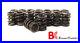 Brian_Crower_Single_Valve_Springs_For_Nissan_VQ35DE_VQ35_350Z_G35_01_qllp