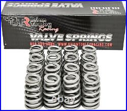 Brian Tooley BTR. 560'' Lift LS6 Beehive Valve Springs and Hat Seals 4.8 5.3 5.7