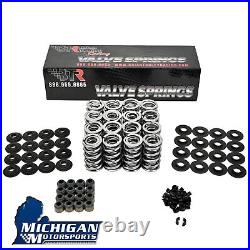 Brian Tooley BTR Platinum. 660 Dual Valve Spring Kit Steel LS1 LS2 LS3 LQ4 LQ9