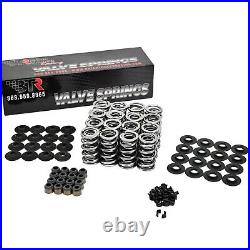 Brian Tooley BTR Platinum. 660 Dual Valve Spring Kit Steel LS1 LS2 LS3 LQ4 LQ9