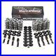 Brian_Tooley_BTR_Platinum_66_Dual_Valve_Spring_Kit_Steel_for_Chevrolet_5_7L_V8_01_nktm