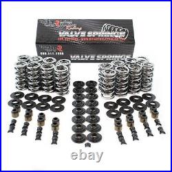 Brian Tooley BTR Platinum. 66 Dual Valve Spring Kit Steel for Chevrolet 5.7L V8