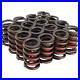 COMP_Cams_941HP16_Single_Outer_Valve_Springs_Racesaver_Approved_01_tt