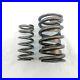 COMP_Cams_950_16_Ford_460_16x_Dual_Valve_Spring_Set_1_464_OD_Max_0_640_in_Lift_01_dva