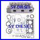 D902_Full_Cylinder_Head_Valve_Spring_Gasket_Kubota_RTV900_ZD323_1G962_03045_01_hnv