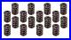 Edelbrock_5845_1_460_Valve_Spring_Set_16_01_dm