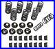 Empi_Race_High_Rev_Dual_Valve_Spring_Kit_Vw_Dune_Buggy_Beetle_Bug_Thing_Ghia_01_glf