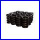 Engine_Valve_Spring_CNG_Comp_Cams_911_16_01_lywj