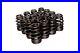 Engine_Valve_Spring_Comp_Cams_26120_16_01_jobd