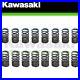 Genuine_Kawasaki_Zx_10r_Zx_10rr_Racing_Intake_Exhaust_Valve_Spring_Kit_8_Each_01_crru