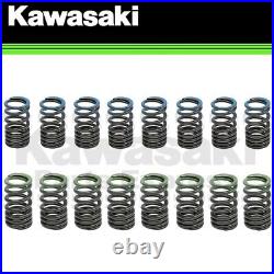 Genuine Kawasaki Zx-10r Zx-10rr Racing Intake & Exhaust Valve Spring Kit 8 Each