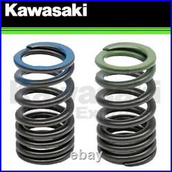 Genuine Kawasaki Zx-10r Zx-10rr Racing Intake & Exhaust Valve Spring Kit 8 Each