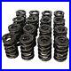 Howards_Cams_98512_Dual_Valve_Springs_01_jafq