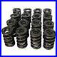 Howards_Valve_Spring_Set_98442_Max_Effort_145_lbs_1_75_in_Dual_1_437_OD_01_ksk