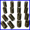 Howards_Valve_Spring_Set_98633_Max_Effort_486_lbs_in_Dual_Spring_1_557_OD_01_hbx