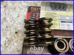 ISKY Racing Cams Tool Room Gold Stripe 16 Piece Racing Valve Spring Set 9965 NOS