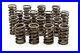 Isky_295D_Single_Valve_Spring_Set_1_260_OD_01_jppc