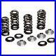 KIBBLEWHITE_80_82300_Valve_Spring_Kit_01_kl