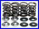 KPMI_Racing_Valve_Spring_Kit_Kibblewhite_60_60045_For_00_20_Suzuki_DRZ400_LTZ400_01_xaql