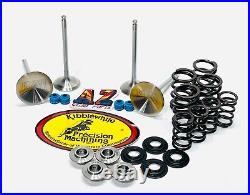 Kawasaki KFX400 KFX 400 Kibblewhite Intake & Exhaust Valves Springs Kit Seals