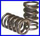 LPC_Small_Block_Chevy_Valve_Springs_1_295_Spring_With_Damper_650_Max_Lift_01_rbsi