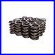 Lunati_73815_16_Valve_Spring_Set_Single_Spring_1_500_OD_120_lbs_1_800_01_ncwh