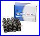 Michigan_Motorsports_600_Beehive_LS_Valve_Springs_LS1_4_8L_5_3L_5_7L_6_0L_6_2L_01_lzfc