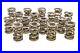 PAC_Springs_1225_1_550_Dual_Valve_Springs_16_01_cah