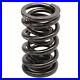 PAC_Springs_Engine_Valve_Spring_Set_PAC_1245_16_Dual_240_lbs_2_000_1_55_OD_01_pw