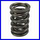 PAC_Valve_Spring_Set_PAC_1903_16_Hot_Rod_Dual_120_lbs_1_875_in_1_459_in_OD_01_lguc