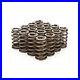 Pac_Racing_Springs_Pac_1235_1_210_Beehive_Valve_Springs_1200_Series_Valve_Spring_01_ww