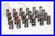 Performance_cone_valve_springs_with_retainers_for_BMW_M57_M57N2_330d_530d_335d_01_lsvb