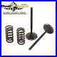 Pro_X_Steel_Intake_Valve_Spring_Kit_FitsHonda_CRF250R_2004_2007_Motorcross_01_wn