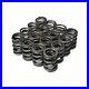 Skunk2_Racing_Alpha_Series_Valve_Springs_Set_for_Honda_B_Series_DOHC_VTEC_01_rhh