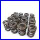 Skunk2_Racing_Alpha_Valve_Spring_Set_for_Acura_Honda_B_Series_B16_B17_B18_VTEC_01_qh