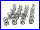 Supertech_Dual_Valve_Springs_92_01_Honda_Prelude_2_2L_DOHC_VTEC_H22A_Engines_NEW_01_fti